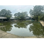 Sang Khu Câu Cá Giải Trí “ Lã Vọng “ DT : 12.500 m2 Tại Bình Quới Thanh Đa